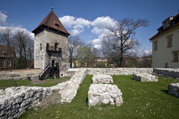 dziedziniec Zamku Żupnego